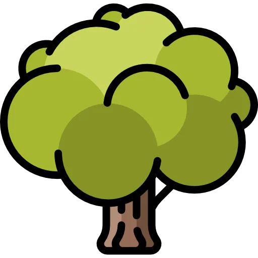 Tree 상