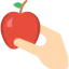 Apple icon 64x64