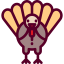 Turkey icon 64x64