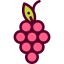 Grapes icon 64x64