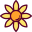 Sunflower icon 64x64