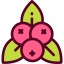 Mistletoe icon 64x64
