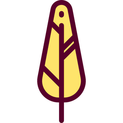 Feather icon