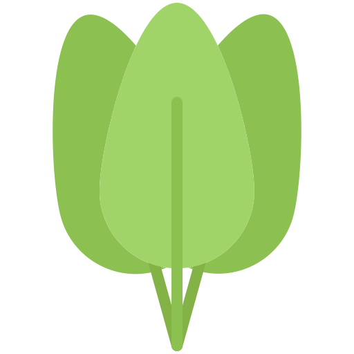 Spinach ícono