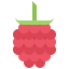 Raspberries Symbol 64x64