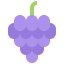 Grapes アイコン 64x64