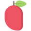 Mango Symbol 64x64
