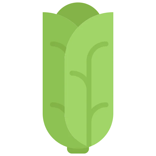 Cabbage icon