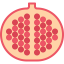 Pomegranate Symbol 64x64