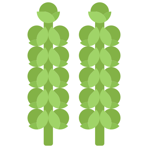 Brussels sprouts icon