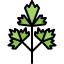 Parsley 图标 64x64