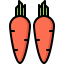 Carrot 图标 64x64