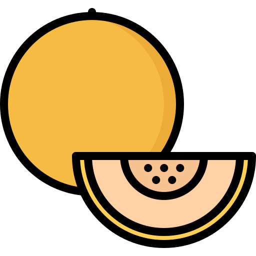 Melon icon