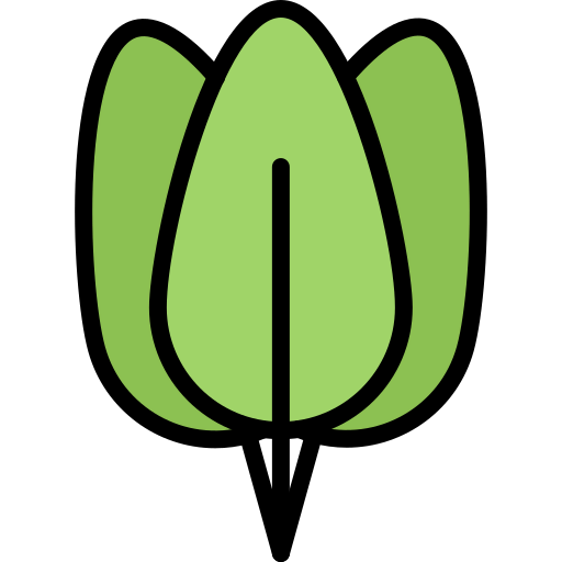 Spinach icon
