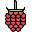 Raspberries 图标 64x64