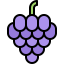Grapes 图标 64x64