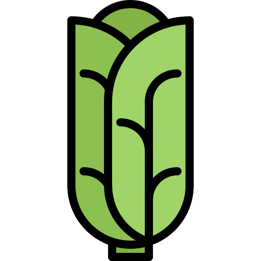 Cabbage icon