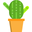 Cactus biểu tượng 64x64