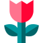 Flower biểu tượng 64x64