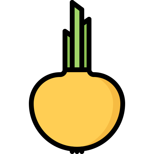 Onion 图标