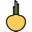 Onion 图标 64x64