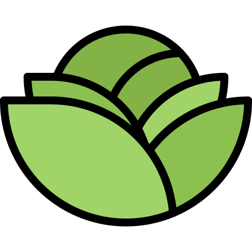 Cabbage icon