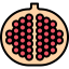 Pomegranate 图标 64x64
