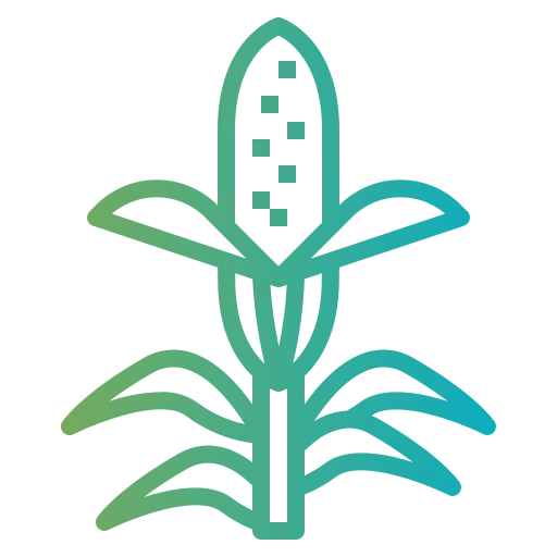 Corn icon