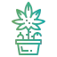 Cannabis icon 64x64