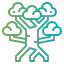 Mangrove icon 64x64