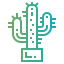 Cactus icon 64x64