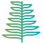Fern アイコン 64x64