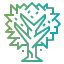 Maple アイコン 64x64