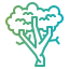 Sycamore アイコン 64x64
