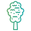 Elm アイコン 64x64
