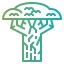 Baobab アイコン 64x64