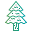 Spruce アイコン 64x64