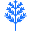 Dill 图标 64x64