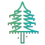 Larch アイコン 64x64