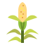 Corn アイコン 64x64