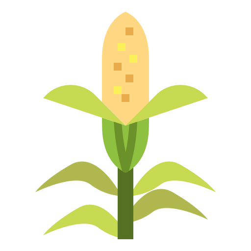 Corn icon