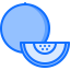 Melon 图标 64x64
