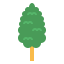 Cypress アイコン 64x64