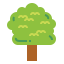 Linden アイコン 64x64