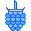 Raspberries 图标 64x64