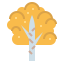 Birch アイコン 64x64