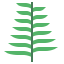 Fern アイコン 64x64