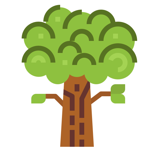 Oak icon