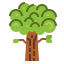 Oak アイコン 64x64
