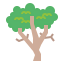 Sycamore アイコン 64x64
